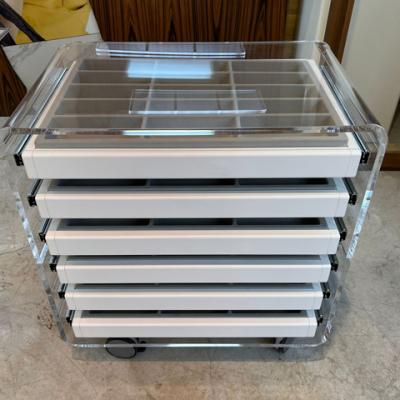 Cassettiera Plex A 6 Cassetti Su Ruote